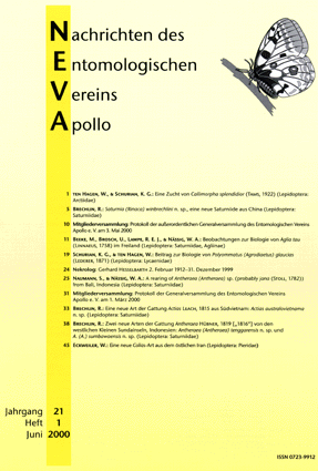 NEVA 21 (1), 2000 NEVA 21 (1), 2000